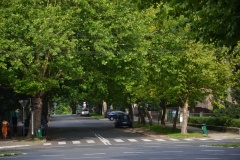 Ulica Królowej Korony Polskiej