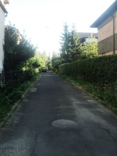Ulica Tadeusza Boya-Żeleńskiego