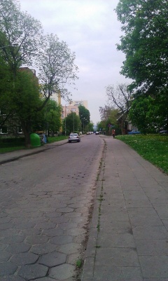 Ulica Boryny